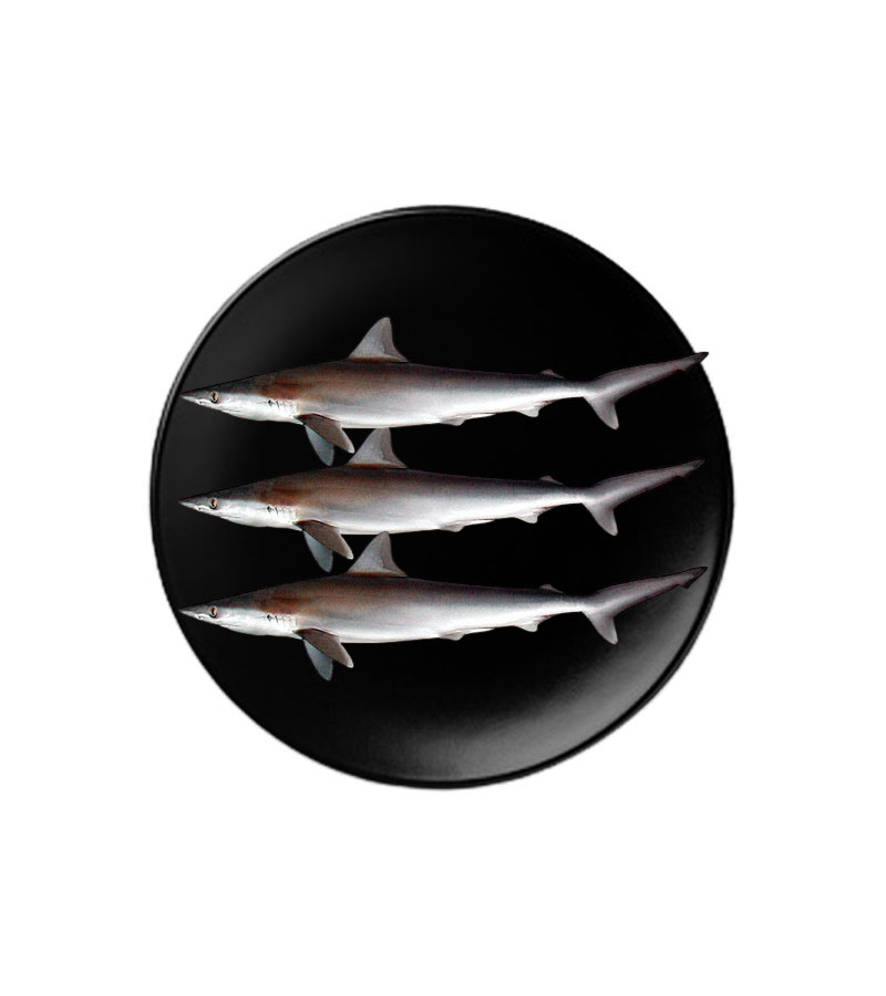 Women's Brown Leather Backpacks