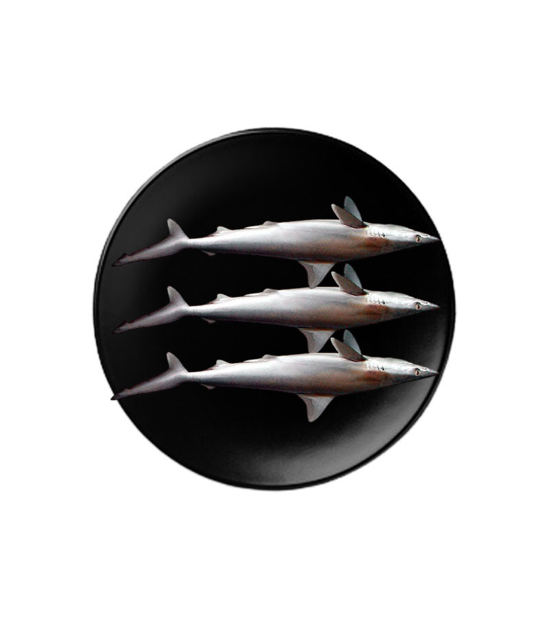 Women's Brown Leather Backpacks