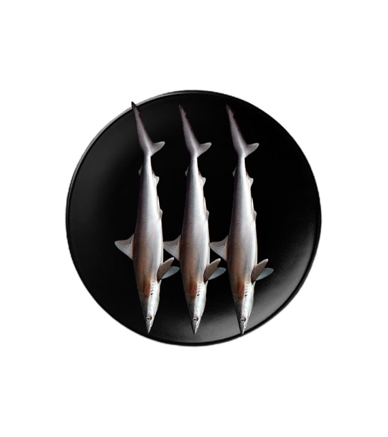 Women's Brown Leather Backpacks