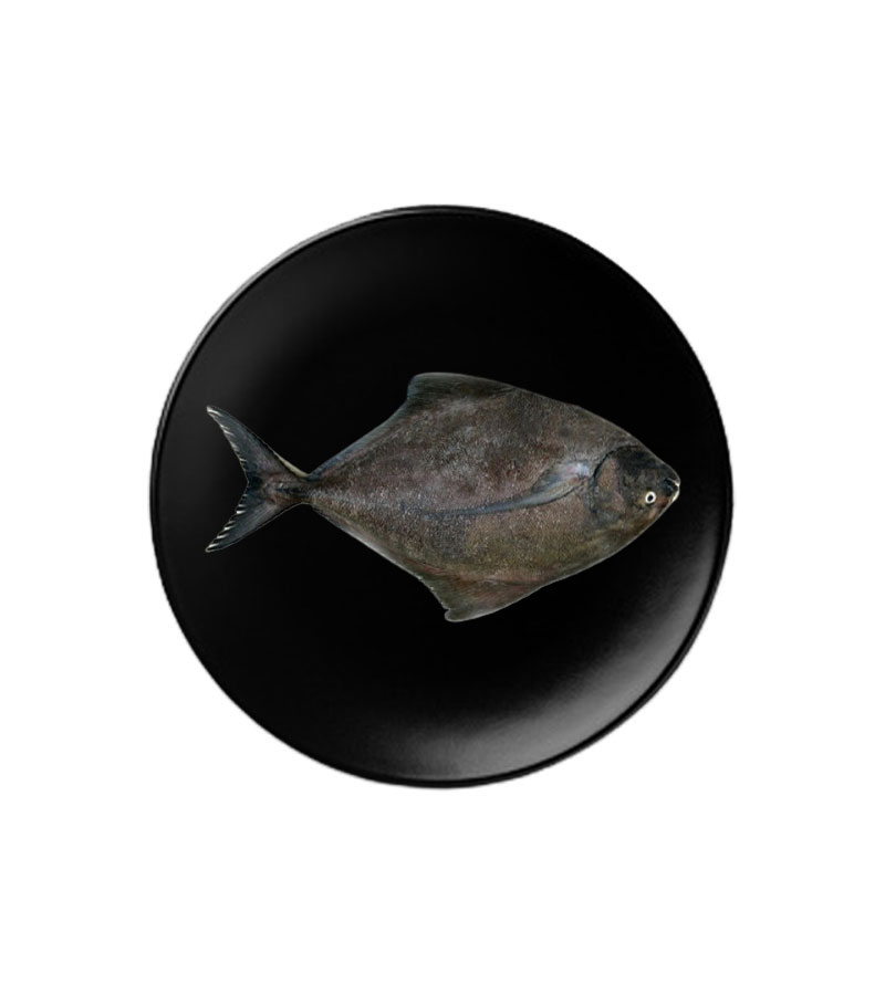 Women's Brown Leather Backpacks