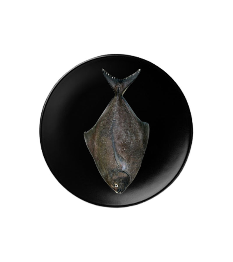 Women's Brown Leather Backpacks