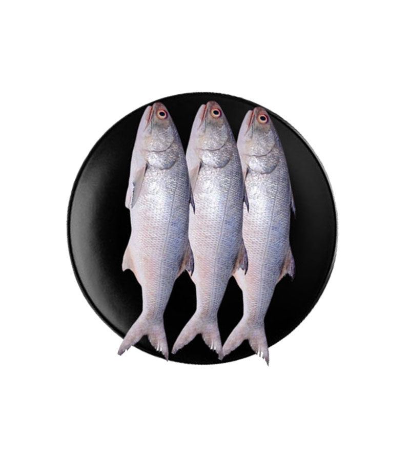 Women's Brown Leather Backpacks